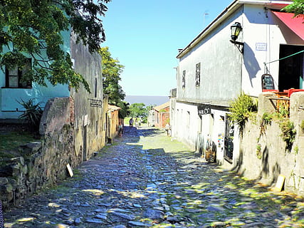 path, relaxing, stone, cologne, architecture, old, building exterior, built structure, building, the way forward, sky, nature, city, direction, plant, footpath, street, day, diminishing perspective, residential district, sunlight, house, no people, narrow, tree, outdoors, alley, 2K, CC0, public domain, royalty free