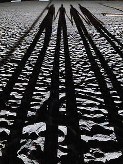 sabbia, spiaggia, ombra, lungo, crepuscolo, silhouette, personale, umano, coppia, modello, vista dall'alto, luce del sole, natura, nessuno, concentrarsi sull'ombra, strada, giorno, all'aperto, sentiero, mezzi di trasporto, città, pavimentazione, avvicinamento, strutturato, lunga ombra - ombra, pavimentazione in pietra, 2K, CC0, dominio pubblico, privo di copyright
