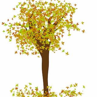 arbre, disseny d’arbre, fulles, full, tardor, temporada, naturalesa, branques, tronc, colors, boscos de tardor, fulles seques, planta, flor, creixement, bellesa a la natura, planta amb flors, frescor, fons blanc, cap gent, cel, vulnerabilitat, fragilitat, a l'aire lliure, groc, tir de l'estudi, vista d’angle baix, cel clar, dia, color verd, cap de flor, 2K, CC0, domini públic, lliure de regalies