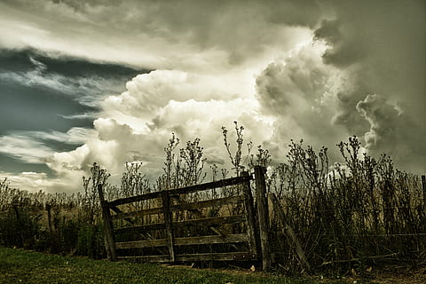 gate, clouds, field, storm, cloud - sky, sky, plant, tree, nature, no people, land, landscape, beauty in nature, tranquility, architecture, non-urban scene, day, boundary, environment, tranquil scene, barrier, outdoors, scenics - nature, ominous, 5K, CC0, public domain, royalty free
