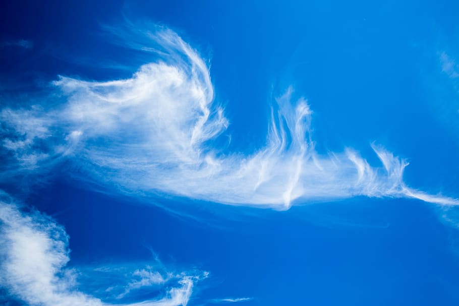blu, bianca, cielo, belle nuvole, nuvole, cirro, bellissimo, estate, umore, atmosferico, natura, tempo metereologico, aria, nuvola - cielo, all'aperto, sfondi, giorno, Cloudscape, ambiente, nessuno, scenics - natura, atmosfera, bellezza nella natura, vento, Colore bianco, la tranquillità, wispy, cielo drammatico, meteorologia, clima, 5K
