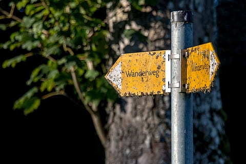 traseu, director, scut, direcţie, signposts, natură, drumeții, caracterul migrator, semne, signpost, cer, pădure, bord, mergi la plimbare, pelerinaj, galben, să se concentreze asupra primelor elemente, a închide, nici o persoana, zi, comunicare, în aer liber, semn, plantă, metal, pol, text, îndrumare, religie, copac, arhitectură, interzis, simbol, lemn - material, post de lemn, excludere, 2K, CC0, domeniu public, fără drepturi de autor