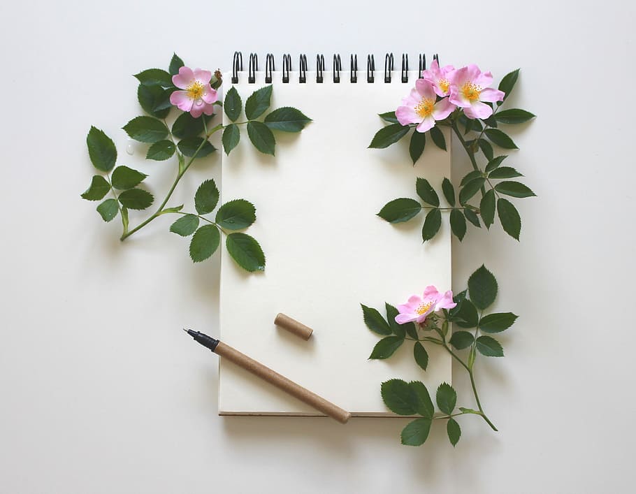 blanc, quadern, al costat, porpra, flors, sortir, notes, eina d’escriptura, schreiber, papereria, paper, buit, llibre, diari, Escriu a sota, full, nota, aprendre, escriptori, entrar, taula, estudiar, pàgines buides, roses, romàntic, carta d’amor, planta, part de la planta, flor, frescor, planta amb flors, naturalesa, cap gent, bellesa a la natura, a l'interior, tir de l'estudi, arranjament, directament a sobre, pètal, fragilitat, fons blanc, vulnerabilitat, cap de flor, vista d’angle alt, contemplació, 4K