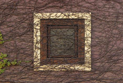 Quadrat, Weiß, braun, Fenster, beschichtet, Reben, Prag, Wand, die Architektur, gebaute Struktur, keine Leute, Backstein, Eingang, Gebäude, Gebäudehülle, Tag, alt, kahler Baum, Tür, Ziegelwand, Wandbau - Funktion, Baum, draußen, Muster, Design, Natur, 4K, CC0, gemeinfrei, lizenzfrei