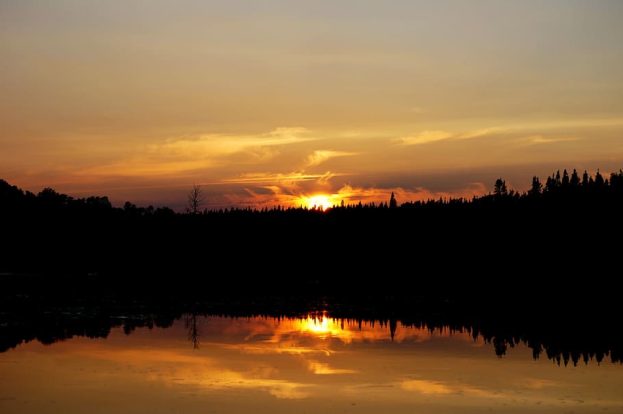silhuet, træer, legeme, vand, dagtimerne, berolige, farvande, reflekterende, sol, solnedgang, afspejling, sø, Dam, skumring, Bugt, Sky, træ, landskab, tusmørke, natur, uden for, gylden, himmel, scenics - natur, ro, skønhed i naturen, rolig scene, orange farve, havnefronten, sky - himmel, ingen mennesker, idyllisk, ikke-urbane scene, plante, udendørs, romantisk himmel, refleksions søen, 4K