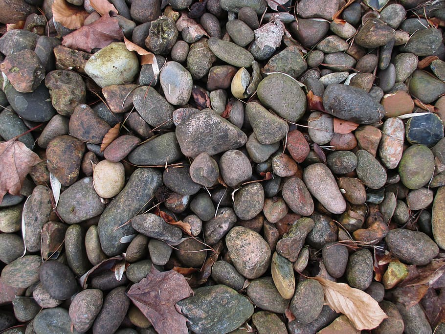 còdols, fons, naturalesa, lluny, sòl, steinchen, sorra, zen, jardí, parc, marc complet, gran grup d'objectes, abundància, cap gent, rock, pedra - objecte, sòlid, natura morta, vista d’angle alt, dia, textura, directament a sobre, menjar i beguda, menjar, primer pla, a l'aire lliure, pedra, 4K