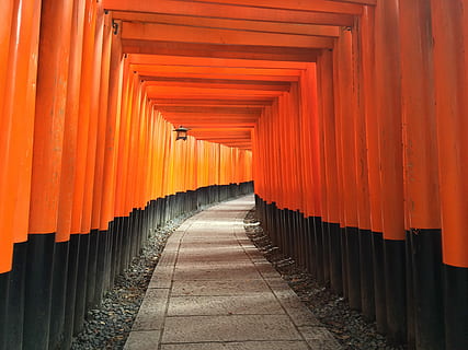 oransje, svart, metall, innrammet, pathway, svartmetall, fushimi inari helligdommen, rød, Asia, kulturer, ingen folk, reise steder, oransje farge, Religion, reise, arkitektonisk kolonne, turisme, åndelighet, veien forover, retning, bygget struktur, på rad, sted for tilbedelse, arkitektur, tro, gangsti, helligdom, synkende perspektiv, reisemål, gjentakelse, utendørs, søyle, 2K, CC0, offentlig domene, opphavsrett gratis