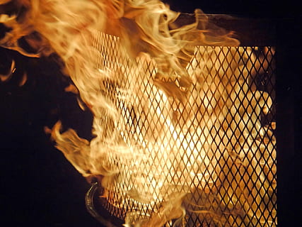 flamma, eldstaden, nattetid, brand, orange, roligt, eld - naturligt fenomen, värme - temperatur, brinnande, gul, lysande, djurteman, djurliv, djur i det vilda, djur-, inget folk, hav, närbild, ett djur, under vattnet, simning, vatten, natur, rörelse, djur i fångenskap, Havsliv, ryggradsdjur, inomhus, marin-, svart bakgrund, 1080P, CC0, offentligt domän, royaltyfria