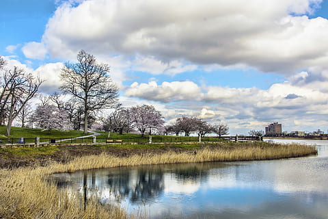 agua, natureza, reflexão, árvore, céu, parque de colina druida, baltimore, exterior, floresta, cenário, cena, nuvem - céu, plantar, beleza na natureza, arquitetura, lago, estrutura construída, dia, tranquilidade, scenics - natureza, ninguém, cena tranquila, crescimento, exterior do edifício, ao ar livre, primavera, 4K, CC0, domínio público, royalty free