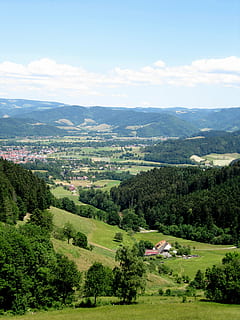 foresta Nera, vista, paesaggio, vista distante, Oberried, albero, pianta, scenics - natura, cielo, ambiente, bellezza nella natura, colore verde, scena tranquilla, la tranquillità, natura, giorno, montagna, nuvola - cielo, crescita, terra, nessuno, scena non urbana, vista dall'alto, costruzione, all'aperto, paesaggio ondulato, 2K, CC0, dominio pubblico, privo di copyright
