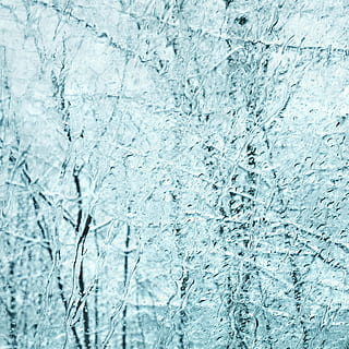arbres, hivern, finestra, blanc, fred, bosc, gelades, arbres d’hivern, a l'aire lliure, temps, blau, fons, naturalesa, congelat, resum, fred - temperatura, gel, textura, neu, patró, marc complet, temperatura de fred, primer pla, cap gent, Color blanc, aspre, dia, efecte texturat, fons abstractes, puresa, 2K, CC0, domini públic, lliure de regalies