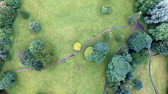 antenne, fotografering, pathways, høj, træer, dagtimerne, fugl, øjenblik, græsfelt, Foto, grøn skov, grøn farve, natur, mad, organisk, grøntsag, broccoli, friskhed, tæt på, plante, sund kost, våd, dag, sprøjtning, udendørs, vand, fuld ramme, vækst, høj vinkel visning, ingen mennesker, mos, træ, multi farvet, jord, skønhed i naturen, arkitektur, baggrunde, græs, 4K, CC0, offentligt domæne, royaltyfrie