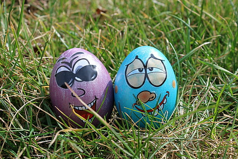 Eier, Ostereier, Spaß, Humor, gemalt, Ostern, Rasen, Gras, Pflanze, Kreativität, Kunst und Handwerk, Natur, keine Leute, Darstellung, Land, grüne Farbe, Feld, Tag, Nahansicht, Rasenfläche, Feier, Fokus auf den Vordergrund, draußen, menschliche Darstellung, lila, 5K, CC0, gemeinfrei, lizenzfrei