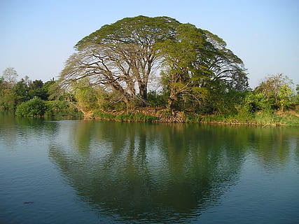 fotografie, verde, arbore de copaci, râu, timpul zilei, Laos, copac, apă, reflecţie, oglindire, Sud Est, Asia, asa de, plantă, lac, frumusețe în natură, liniște, cer, malul mării, scenice - natura, o scenă liniștită, natură, zi, nici o persoana, creştere, scenă non-urbană, cer senin, în aer liber, 1080P, CC0, domeniu public, fără drepturi de autor