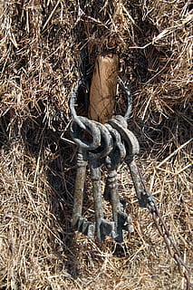 chiavi, ruggine, ferro, vecchio, metallo, antico, Vintage ▾, grunge, patina, squallido, giorno, nessuno, natura, pianta, avvicinamento, vista dall'alto, corda, campo, terra, all'aperto, forza, luce del sole, sicurezza, arrugginito, erba, protezione, complessità, ingarbugliato, connessione, 4K, CC0, dominio pubblico, privo di copyright