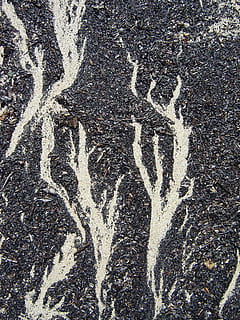areia da praia, padronizar, vento, chão, Formato, de praia, areia, origens, texturizado, abstrato, natureza, fechar-se, material, rock - objeto, estrutura construída, quadro completo, ninguém, dia, visão de alto ângulo, estrada, ao ar livre, cor branca, cidade, criatividade, rua, terra, asfalto, arte e Artesanato, diretamente acima, arquitetura, 1080P, CC0, domínio público, royalty free
