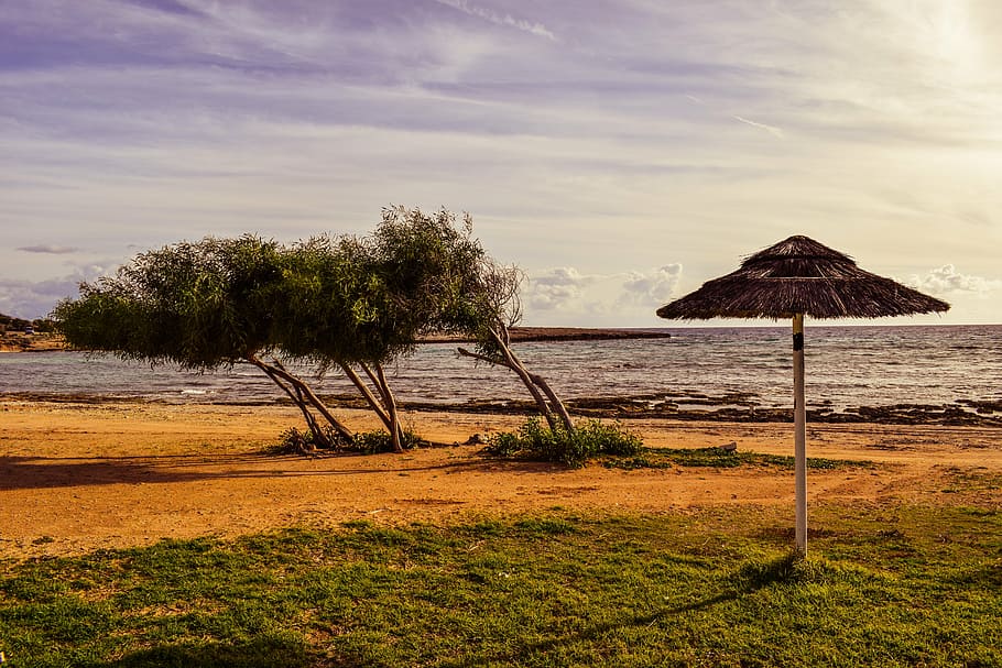 platja, arbres, paraigua, buit, hivern, paisatge, makronissos, ayia napa, Xipre, aigua, cel, terra, planta, escena tranquil·la, mar, tranquil·litat, bellesa a la natura, naturalesa, núvol - cel, arbre, escenics - natura, herba, cap gent, dia, sostre de palla, escena no urbana, sostre, a l'aire lliure, horitzó sobre l’aigua, 5K