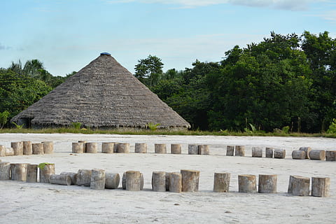 Stamm, Inder, Wald, Baum, die Architektur, Pflanze, Geschichte, gebaute Struktur, die Vergangenheit, uralt, Pyramide, Reiseziele, Natur, Gebäudehülle, Tag, keine Leute, Himmel, alte Zivilisation, Reise, Tourismus, draußen, wolke - himmel, alte Ruine, Archäologie, 5K, CC0, gemeinfrei, lizenzfrei