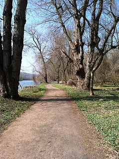 ruta, primavera, arbres, nua, naturalesa, Camí, caminar, arbre, planta, direcció, el camí a seguir, tranquil·litat, tronc de l'arbre, tronc, sendera, escena tranquil·la, arbre nu, terra, bellesa a la natura, cap gent, dia, perspectiva decreixent, escenics - natura, creixement, branca, bosc, a l'aire lliure, treelined, 2K, CC0, domini públic, lliure de regalies