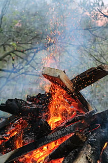 Koster, primavera, legna da ardere, fuoco, ustioni, scintilla, carboni, fiamma, calore - temperatura, ardente, fuoco - fenomeno naturale, raggiante, natura, movimento, fumo - struttura fisica, nessuno, ceppo, legno - materiale, legna, falò, albero, all'aperto, ambiente, colore arancione, scintille, fuoco di bivacco, industria dei metalli, 5K, CC0, dominio pubblico, privo di copyright