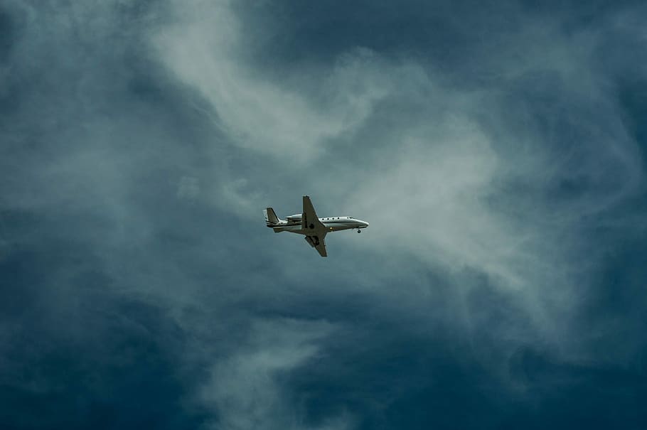 baix, vista d'angle, avió, cel, angle baix, vista, transport, volant, vehicle aeri, avió comercial, blau, aire, viatjar, núvol - cel, mode de transport, jet - band, cloudscape, vista d’angle baix, temes d'animals, animals a la natura, ocell, animal, fauna animal, ales separades, vertebrats, a l'aire, un animal, cap gent, naturalesa, moviment, a l'aire lliure, gavina, directament a sota, 5K