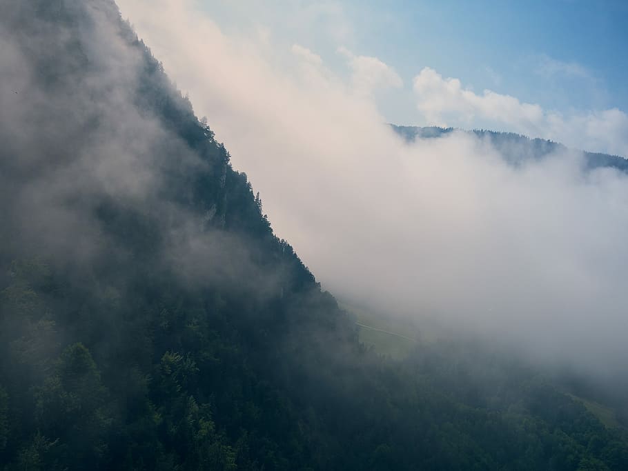 letecký, fotografování, hora, pokryté, bílý, mlha, horní, Pohled, moře, mraky, mrak, horské straně, les, krajina, krása v přírodě, scenics - příroda, klidné scény, mrak - nebe, klid, nebe, nikdo, životní prostředí, strom, mimoměstské scény, Příroda, rostlina, idylický, den, venku, 4K