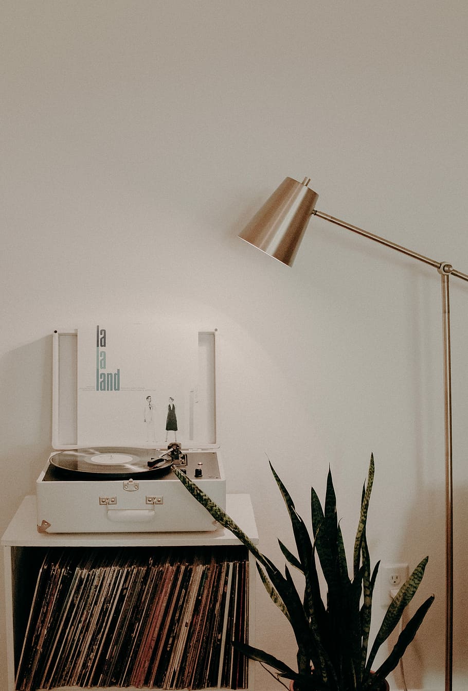 blanc, taula giratòria, fusta, organitzador, mànigues de discos de vinil, Pròxim, llum de peu, llum, coure, tocadiscs, a l'interior, planta en test, funció de construcció de parets, cap gent, planta, interior de casa, habitació domèstica, taula, arquitectura, còpia espai, llibre, publicació, naturalesa, absència, mobles, estructura construïda, casa, Color blanc, seient, llum elèctrica, planta d'interior, 5K