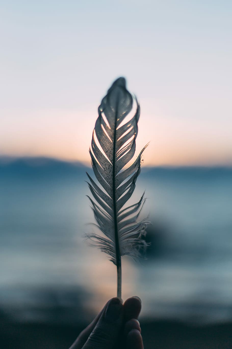 fotografování s posunem objektivu, osoba, hospodářství, bílý, Pírko, osoba hospodářství peří, soumrak, svítání, beachside, pobřeží, buk, západ slunce, pluma, lidské ruky, jedna osoba, ruka, nebe, část lidského těla, skutečných lidí, zaměřit se na popředí, Příroda, k nepoznání člověka, osobní perspektivy, rostlina, část těla, prst, detail, lidský prst, krása v přírodě, venku, klid, 5K