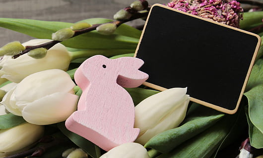 white tulip flower, easter egg, easter, willow catkin, egg, decoration, easter greeting, easter decorations, spring, deco, tradition, easter decor, happy easter, greeting card, postcard, easter greetings, loop, osterkarte, background, tulips, flowers, map, easter theme, easter bunny, hare, white tulips, pink, ornament, decorative, board, text dom, no people, close-up, representation, flower, pink color, plant, creativity, food and drink, flowering plant, nature, freshness, green color, art and craft, food, focus on foreground, human representation, day, wood - material, outdoors, 5K, CC0, public domain, royalty free