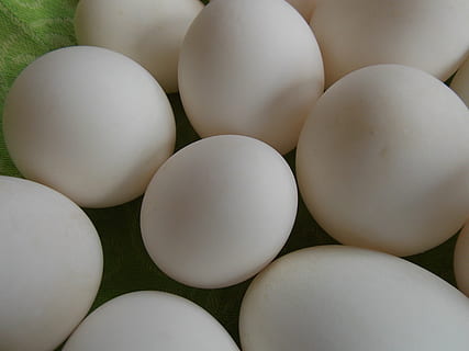 huevos, verde, conchas, huevos de pato, Pascua de Resurrección, naturaleza, comida, huevo, fotograma completo, nadie, de cerca, alimentación saludable, comida y bebida, frescura, gran grupo de objetos, el color blanco, bienestar, antecedentes, adentro, alimentos crudos, forma, naturaleza muerta, vista de alto ángulo, grupo de objetos, circulo, 4K, CC0, dominio público, libre de derechos