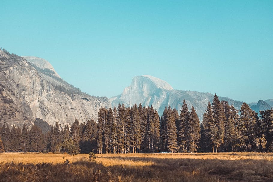 les, pohoří, během dne, pole borovic, hora, modrý, nebe, strom, krajina, pole, Příroda, borovice, yosemitu, sublimovat, vasy, wanderlust, půl kopule, rostlina, scenics - příroda, krása v přírodě, životní prostředí, přistát, klidné scény, nikdo, klid, mimoměstské scény, den, idylický, destinace, horský vrchol, jehličnatého stromu, formace, borové lesy, 5K