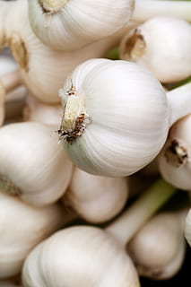 fotografie aproape, usturoi, aromat, fundal, bec, condiment, alimente, proaspăt, gurmand, cap, ingredient, plantă, brut, asezonare, miros, vegetal, alb, mancare si bautura, a închide, prospeţime, culoare alba, nici o persoana, bunăstare, usturoi bulb, mâncat sănătos, mancare cruda, cadru complet, bec de plante, natură moartă, ceapă, în interior, selectiv, catel de usturoi, mancare vegetariana, 1080P, CC0, domeniu public, fără drepturi de autor