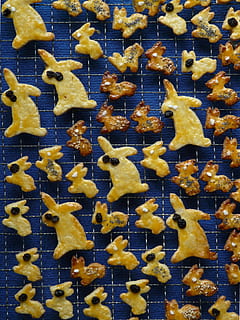 húsvéti nyuszi, sütemények, húsvéti, húsvéti sütemények, nyúl, süt, guba, ausstecherle, recept, sütő, aprósütemény, finom tészta, kis sütemények, keksz, tepsi, drót rack, sárga, arany színű, teljes keret, közelkép, nem ember, Arany, fedett, alak, nagy objektumcsoport, csillag alakú, természet, háttérrel, állati vadvilág, víz, összetartozás, állati témák, vadon élő állatok, állat, közvetlenül fent, tenger, variáció, élelmiszer, 2K, CC0, közkincs, jogdíjmentes