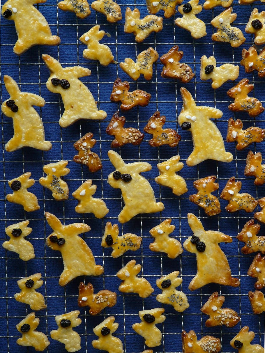 Påske hare, kager, påske, påske kager, kanin, bage, dej, ausstecherle, opskrift, ovn, cookie, fint wienerbrød, små kager, kiks, bageplade, trådhylde, gul, guldfarvet, fuld ramme, tæt på, ingen mennesker, guld, indendørs, form, stor gruppe af objekter, stjerne form, natur, baggrunde, dyreliv, vand, samvær, dyre temaer, dyr i naturen, dyr, direkte over, hav, variation, mad, 2K