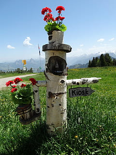 direktoriju, vairogs, virzienā, marķējums, koksne, ziedi, izlemt, pa labi, augu, raksturs, debesis, zāli, zieds, ziedēšanas augs, izaugsmi, dienā, jomā, zeme, skaistums dabā, nav cilvēku, mākonis - debesis, zaļā krāsa, ārā, vidi, saules gaisma, skatuves - daba, ainavu, mierīga aina, 5K, CC0, publiskais domēns, bez atlīdzības
