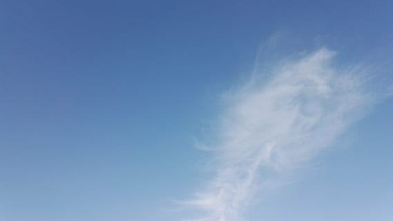 cielo blu, nuvola bianca, brezza, blu, natura, tempo metereologico, aria, giorno, cielo, sfondi, all'aperto, clima, estate, nuvola - cielo, vento, ambiente, la tranquillità, atmosfera, nessuno, bellezza nella natura, copia spazio, Colore bianco, scenics - natura, Cloudscape, scena tranquilla, wispy, meteorologia, morbidezza, 5K, CC0, dominio pubblico, privo di copyright