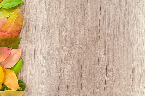 brown wooden board, autumn, background, board, dry, dry leaves, fall, foliage, HD wallpaper, leaves, rustic, season, vibrant, vivid, wood, wood - material, no people, table, freshness, indoors, copy space, directly above, close-up, food and drink, food, backgrounds, slice, still life, wellbeing, high angle view, plant, healthy eating, cutting board, brown, wood grain, 4K, CC0, public domain, royalty free