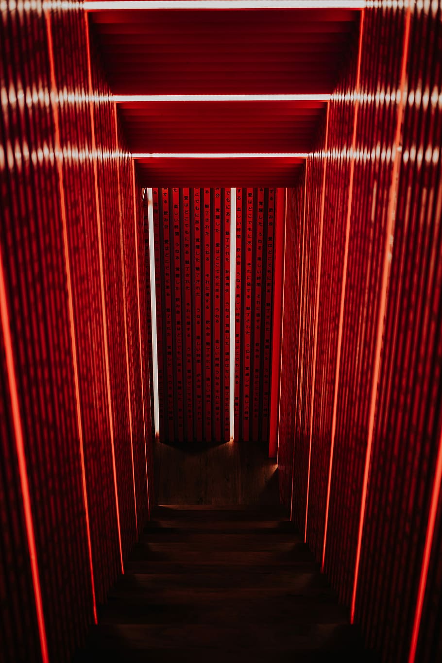 gris, estret, escala, vermell, paret, fotografia de timelapse, llum, textura, resum, il·luminació, túnel, passarel·la, pas, interior, club, neó, canviant d'humor, fosc, ombra, entrada, a la planta baixa, subterrani, art, a l'interior, arquitectura, cap gent, el camí a seguir, absència, cultura i entreteniment artístic, en fila, direcció, edifici, passadís, arcade, estructura construïda, buit, escenari - espai de rendiment, patró, cortina, tèxtil, perspectiva decreixent, etapa, 4K