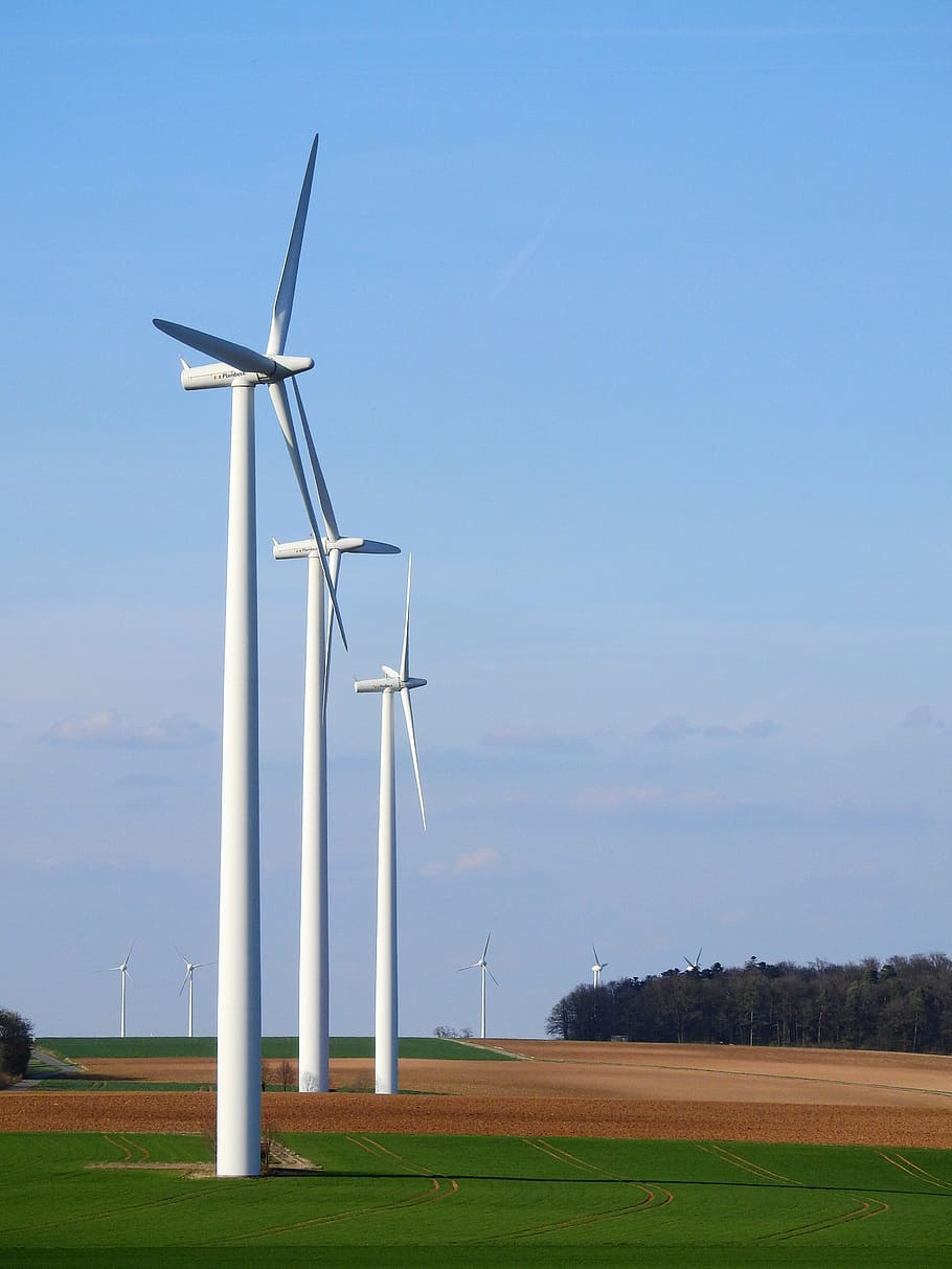 paisatge, cel, granja, tecnologia, alternativa, energia alternativa, corrent, eficiència, electricitat, energia, medi ambient, ambiental, generador, invenció, poder, Font d'alimentació, producció, hèlix, energia renovable, rotor, sostenibilitat, turbina, vent, energia eòlica, aerogenerador, molins de vent, generació de combustible i energia, conservació del medi ambient, camp, terra, naturalesa, dia, cap gent, bellesa a la natura, blau, escena rural, planta, a l'aire lliure, recursos sostenibles, poder a la natura, 4K