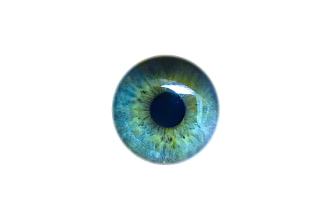 vicino, foto, coperchio a sfera, avvicinamento, palla, occhio, coperchio, iris, Guarda, vedere, allievo, occhio umano, vista, iride - occhio, fumo - struttura fisica, pianeta - spazio, bulbo oculare, percezione sensoriale, parte del corpo umano, girato in studio, parte del corpo, ciglio, persone, sfondo bianco, occhi blu, in casa, copia spazio, primo piano estremo, blu, singolo oggetto, volto umano, 2K, CC0, dominio pubblico, privo di copyright