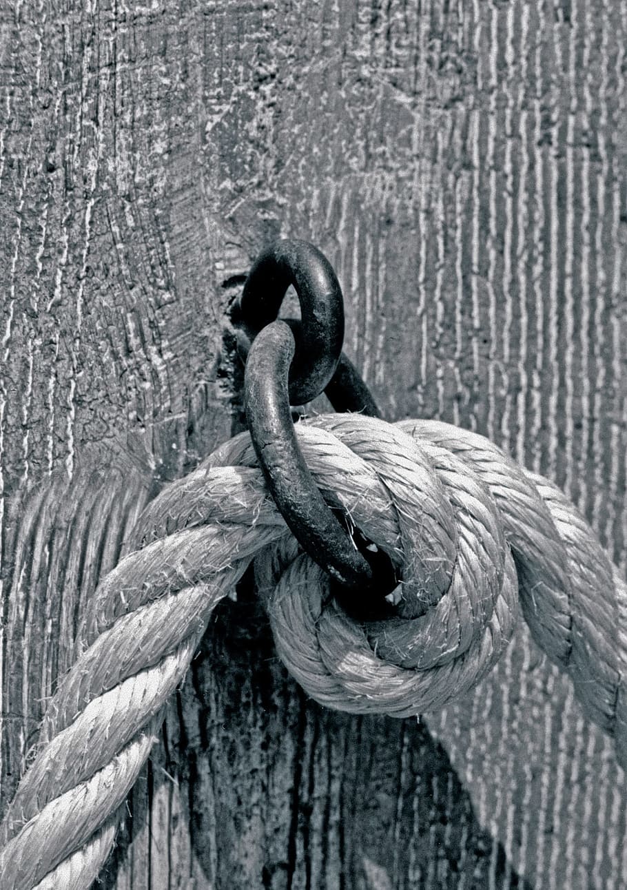 cuerda, gancho, fuerza, Rocío, que contiene, mundo, crisis, juntos, festival, Por supuesto, seguridad, subida, dirección, vivir, proteccion, religión, durabilidad, nadie, al aire libre, día, de cerca, metal, naturaleza, agua, texturizado, vista de alto ángulo, conexión, pájaro, lago, vertebrado, modelo, temas de animales, animal, material de madera, 1080P