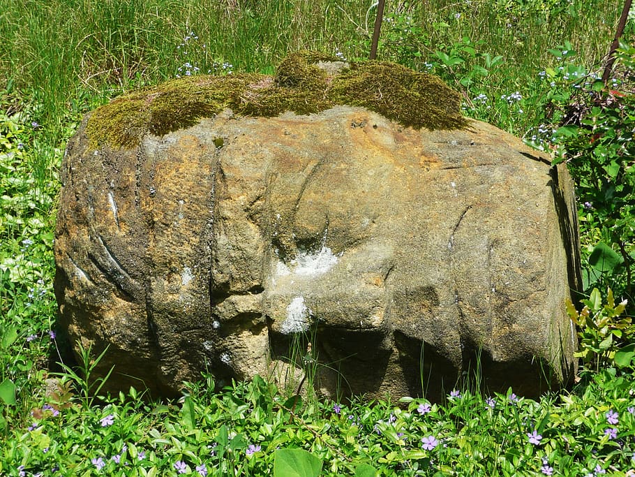 sten, statue, hoved, mos, gammel, historie, sten-, statue, baggrund, græs, et dyr, ingen mennesker, dyr i naturen, udendørs, dyre temaer, dyreliv, plante, jord, natur, vækst, dag, træ, Mark, grøn farve, dyr, Skov, skønhed i naturen, ro, solid, 2K