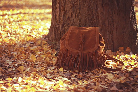 fringed, brown, flap bag, tree trunk, daytime, flap, bag, autumn, nature, leaf, outdoors, yellow, orange Color, tree, forest, season, plant part, trunk, plant, change, land, day, focus on foreground, no people, falling, selective focus, park, tranquility, leaves, bark, 1080P, CC0, public domain, royalty free