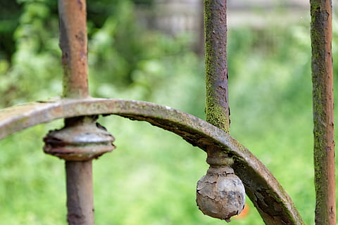 Fence, Abstract, Macro, Grid, Nature, out, go for a walk, distract, metal, rusty, focus on foreground, no people, day, close-up, boundary, barrier, outdoors, old, weathered, plant, security, protection, safety, green color, tree, iron - metal, wrought iron, 5K, CC0, public domain, royalty free