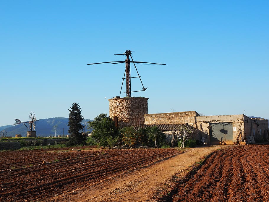 moara de vant, vechi, expirat, ruina, mallorca, muro, moară, energie eoliana, aripă, Putere eoliana, dărăpănat, agricultură, fără sens, spart, bauruine, mohorât, părăsi, hof, fermă, Ranch, cer, arhitectură, cer senin, construită, natură, exteriorul clădirii, zi, nici o persoana, teren, albastru, mediu inconjurator, turbină eoliană, mori tradiționale de vânt, Energie alternativa, energie regenerabila, turbină, rural, conservarea mediului, tehnologie, în aer liber, 4K