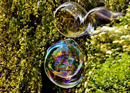 Soap Bubble, Huge, large, make soap bubbles, wabbelig, iridescent, soapy water, fun, fly, colorful, bubble, reflection, rainbow, refraction, day, fragility, transparent, shiny, nature, close-up, vulnerability, sphere, focus on foreground, no people, plant, outdoors, tree, glass - material, sunlight, multi colored, shape, geometric shape, 4K, CC0, public domain, royalty free