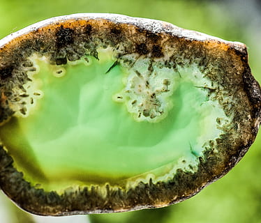 agat, sten-, perle, ædelsten, mineral, birthstone, naturlig, halvædelsten, gemology, åndelig, geode, alternativ, geologi, healing, makro, gennemsigtig, dekorative, energi, dekoration, juvel, spa, meditation, healer, mineralogi, terapi, natur, chakra, zen, harmoni, mad, svamp, friskhed, tæt på, grøn farve, mad og drikke, ingen mennesker, fokus på forgrunden, dag, grøntsag, selektiv fokusering, sund kost, plante, udendørs, frugt, velvære, stilleben, grøn, træ, vækst, 2K, CC0, offentligt domæne, royaltyfrie