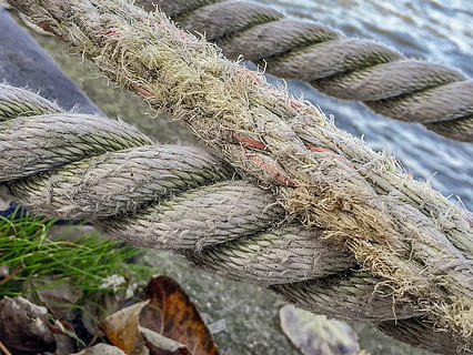 dauw, schip, Verzenden, bagageruimte, meer, zee, touw, geen mensen, detailopname, dag, natuur, fabriek, focus op de voorgrond, patroon, buitenshuis, sterkte, vastgebonden, hoge hoekmening, getextureerde, groei, gedraaid, witte kleur, groene kleur, visnet, visvangst, vervoer, vis industrie, 4K, CC0, publiek domein, royaltyvrij