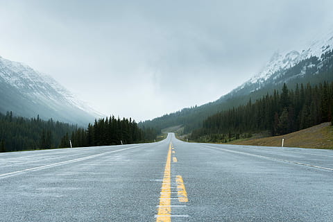 carretera propera als arbres, concret, carretera, muntanyes, arbres, arbre, muntanya, bosc, perspectiva, viatge de carretera, naturalesa, a l'aire lliure, horitzó, muntanya brumosa, boira, Serra, banff, muntanya rocosa, Canadà, muntanya i carretera, carretera oberta, direcció, signe, símbol, cap gent, el camí a seguir, marcatge de carreteres, transport, escenics - natura, cel, marcatge, medi ambient, bellesa a la natura, escena tranquil·la, dia, perspectiva decreixent, línia divisòria, pi, 5K, CC0, domini públic, lliure de regalies