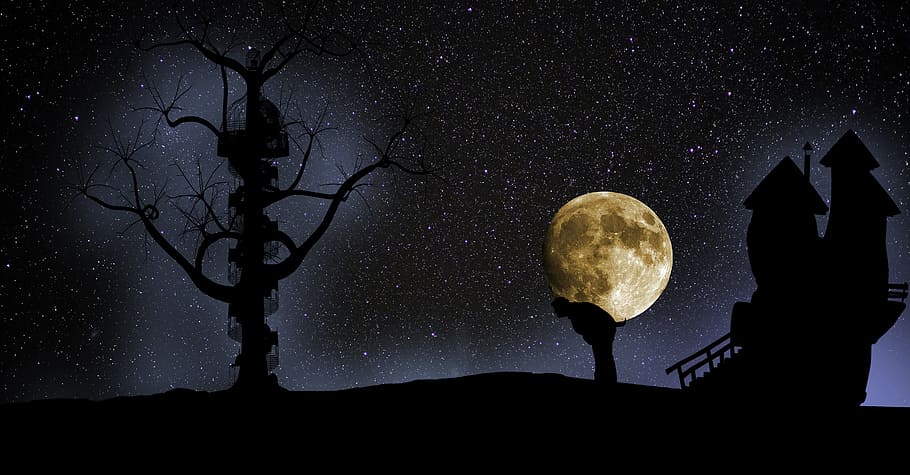 silueta, persona, arbre, casa, ple, lluna, fantasia, nit, resum, espai, místic, somni, atmosfera, brillant, lluna plena, cel nocturn, humor, aïllat, estrany, romàntic, nen, sàlvia, naturalesa, astronomia, estrella - espai, cel, escenics - natura, galàxia, bellesa a la natura, estrella, camp estel·lar, vista d’angle baix, escena tranquil·la, tranquil·litat, infinit, cap gent, a l'aire lliure, fosc, espai i astronomia, Lluna planetària, llum de la lluna, 8K